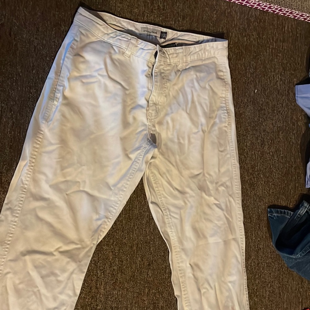 Dress pants